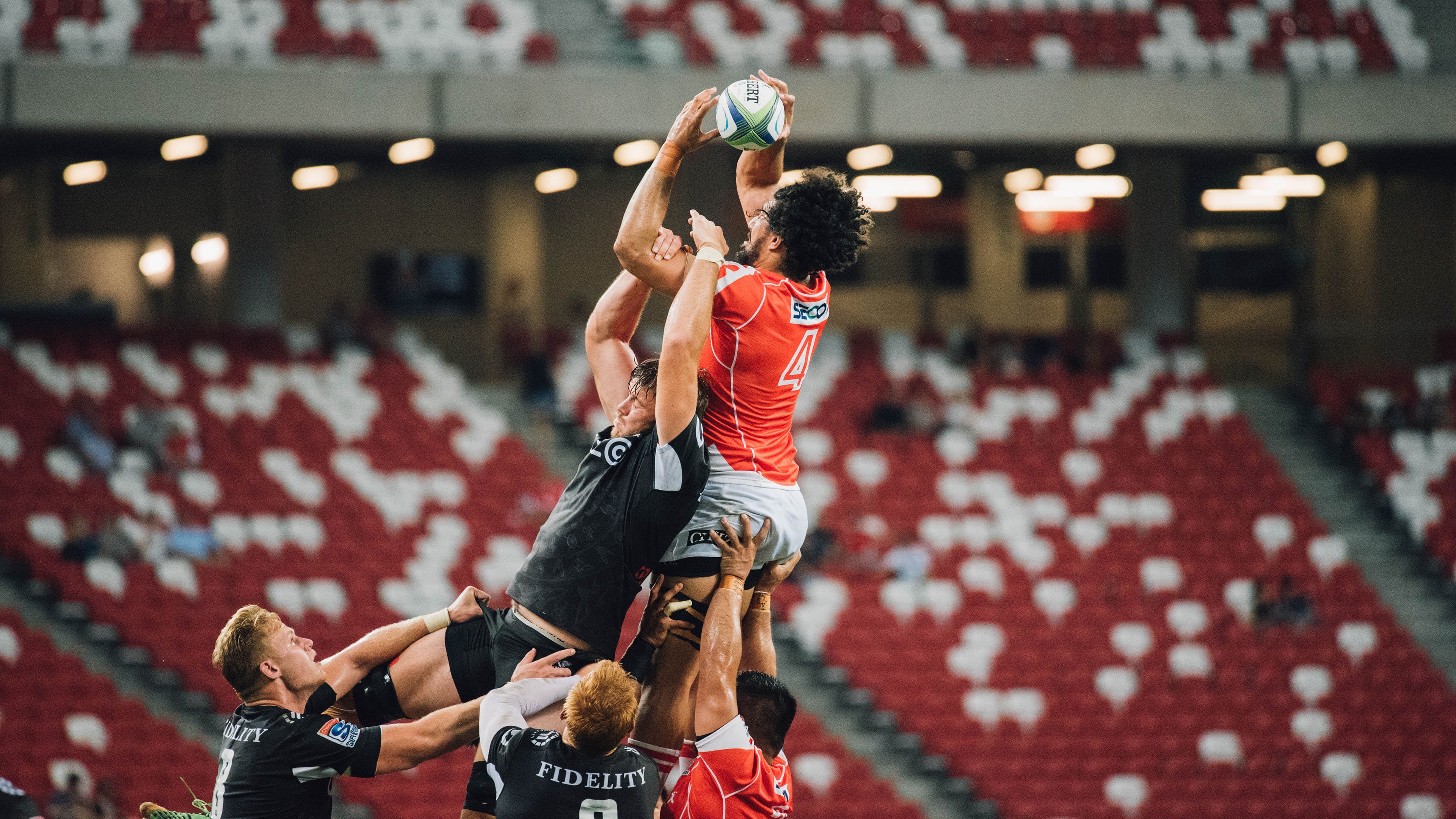 伊朗马术协会与非洲马术协会开展技术援助项目，提升当地水平。